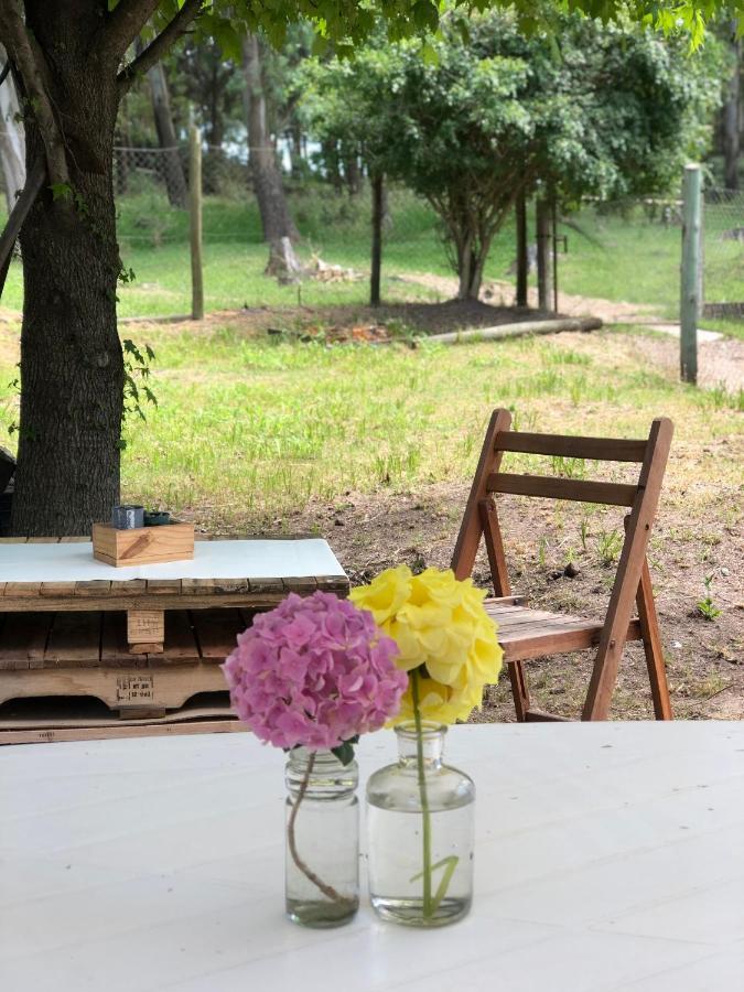 מלון סלטו Casita Del Parque מראה חיצוני תמונה